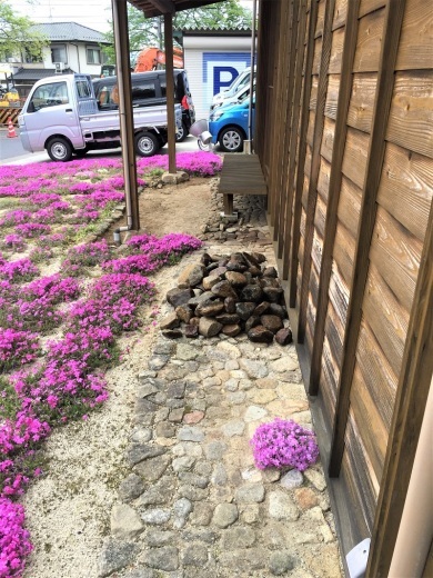 ヤマザクラとベンチ_f0076731_19553620.jpg