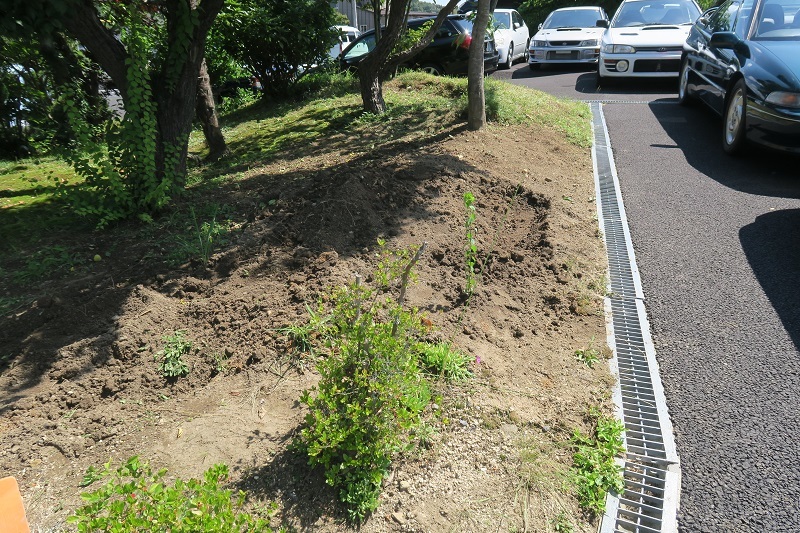 異変 更新版_f0076731_20085628.jpg