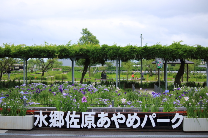 f0348831_23122202.jpg