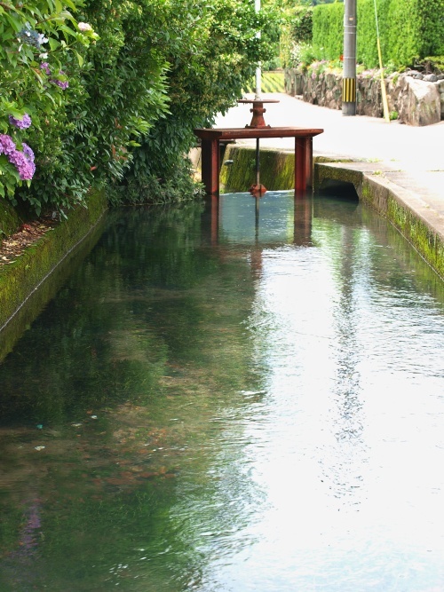 c0281841_15314474.jpg