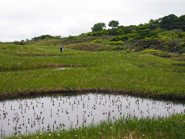 c0081645_22455760.jpg