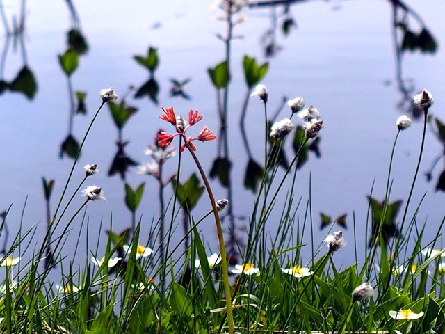 c0081645_22460437.jpg