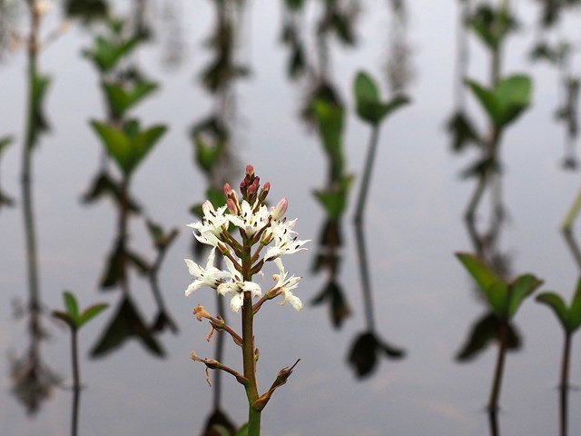 c0081645_22461612.jpg