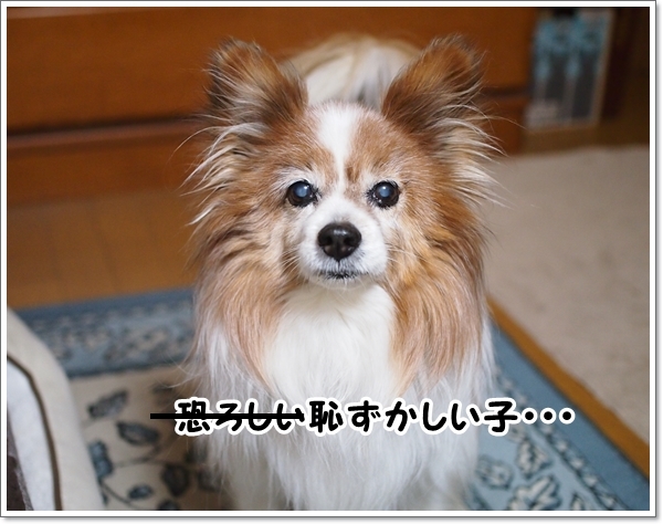 d0013149_00592910.jpg
