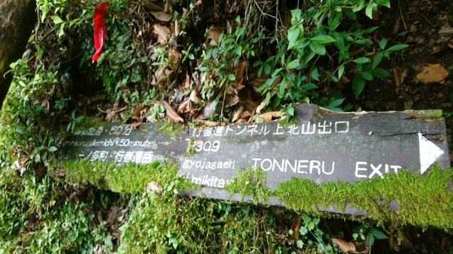 b0148050_20051799.jpg