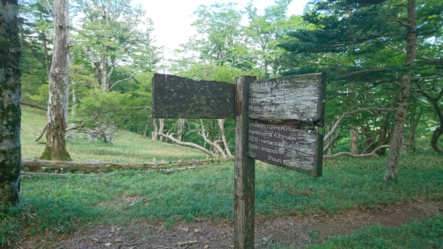 大峰　行者還トンネル東口〜弥山&八経　ピストン_b0148050_20052157.jpg