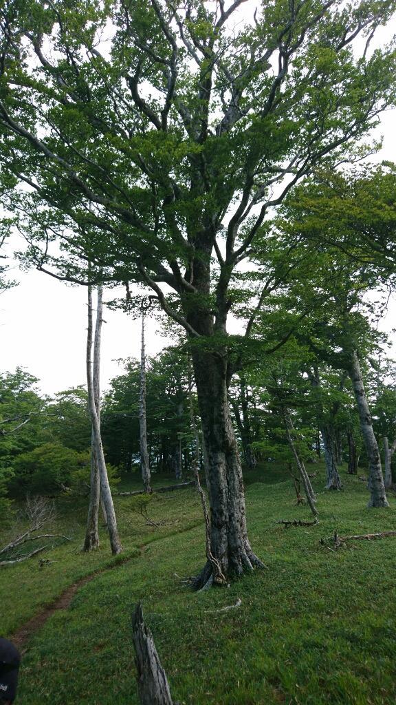 b0148050_20052679.jpg