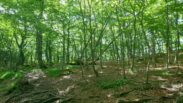 b0148050_20144135.jpg