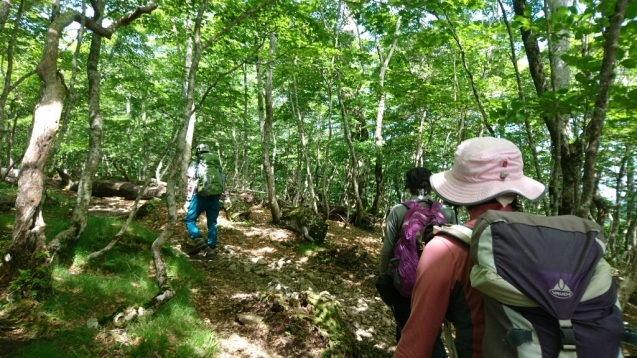 大峰　行者還トンネル東口〜弥山&八経　ピストン_b0148050_20144840.jpg