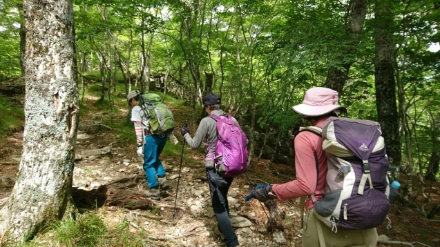 大峰　行者還トンネル東口〜弥山&八経　ピストン_b0148050_20145093.jpg