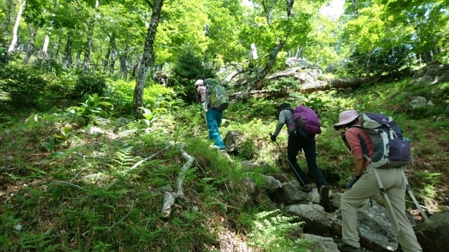 b0148050_20173100.jpg
