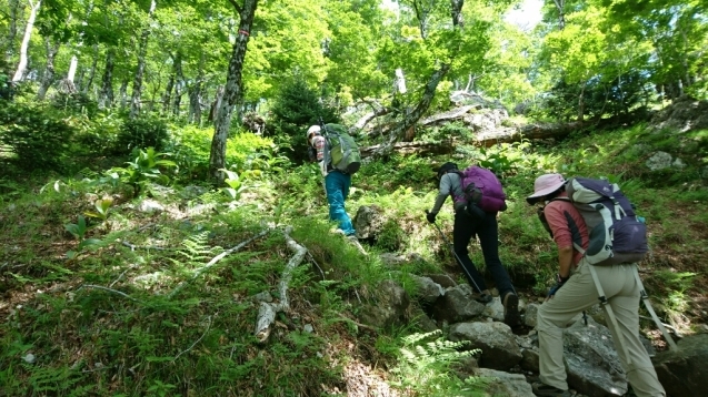 大峰　行者還トンネル東口〜弥山&八経　ピストン_b0148050_20173100.jpg