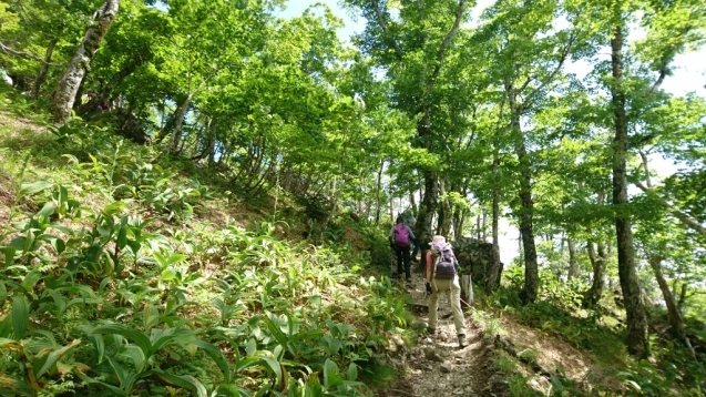 大峰　行者還トンネル東口〜弥山&八経　ピストン_b0148050_20173822.jpg