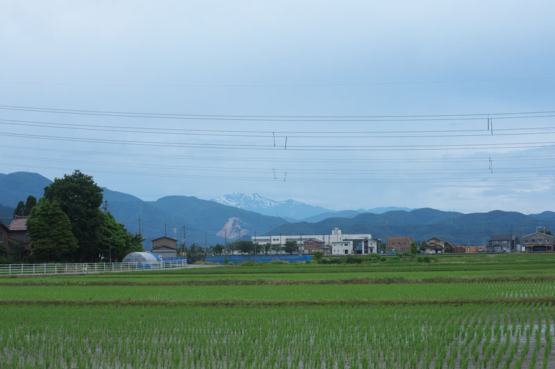 d0342652_16232691.jpg