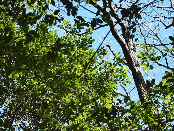 b0319255_12034644.jpg