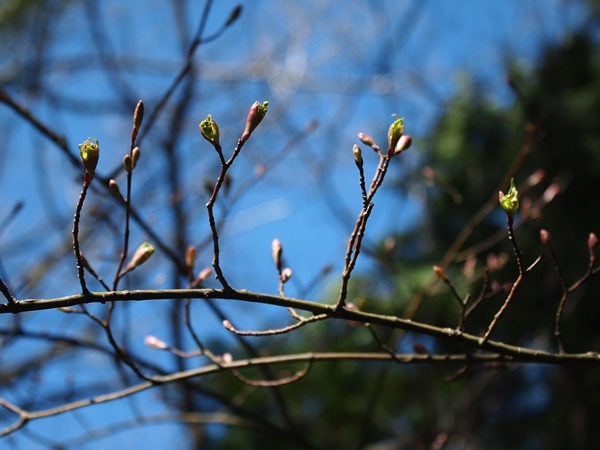 b0319255_12185721.jpg