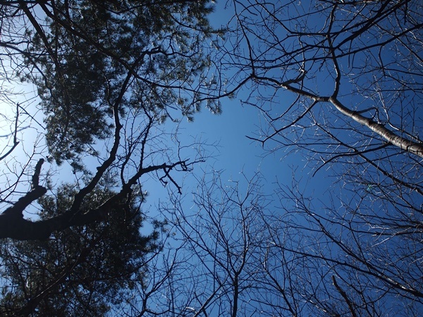 傘山（1,542m）御嶽山コース　2018年4月10日_b0319255_12185899.jpg