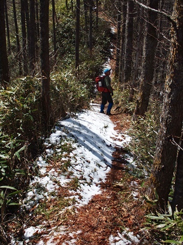 傘山（1,542m）御嶽山コース　2018年4月10日_b0319255_12303779.jpg