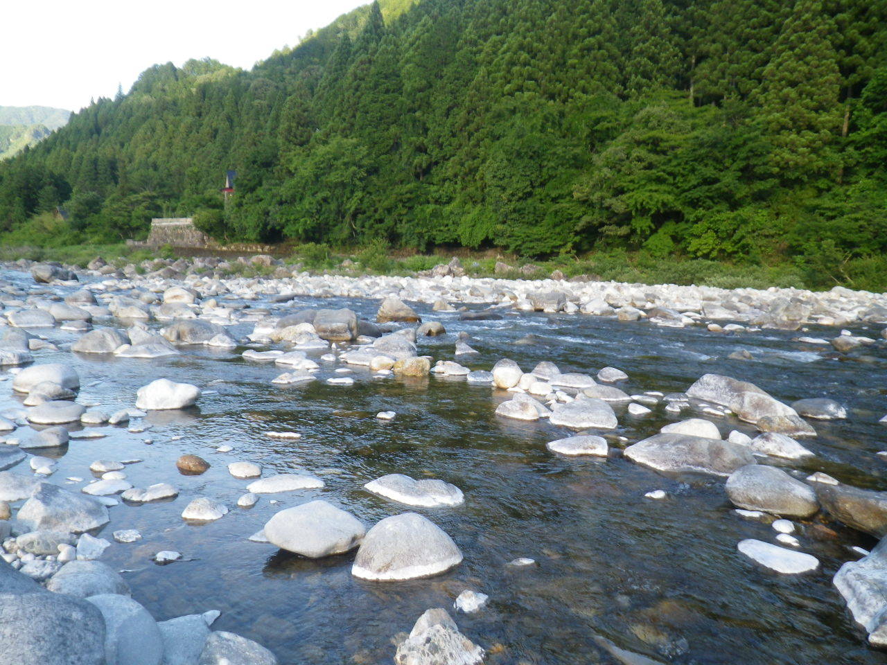 長良川・板取川：ホタルの里お祭り：古民家再生まだまだ_e0124255_08313272.jpg