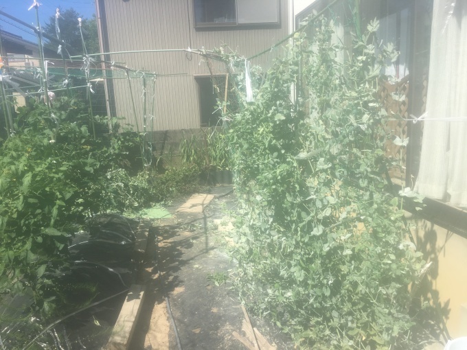 e0082956_06061982.jpeg