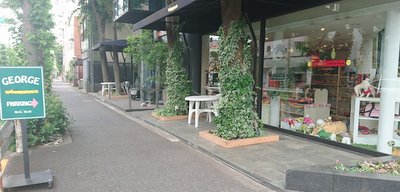 e0364056_1150039.jpg