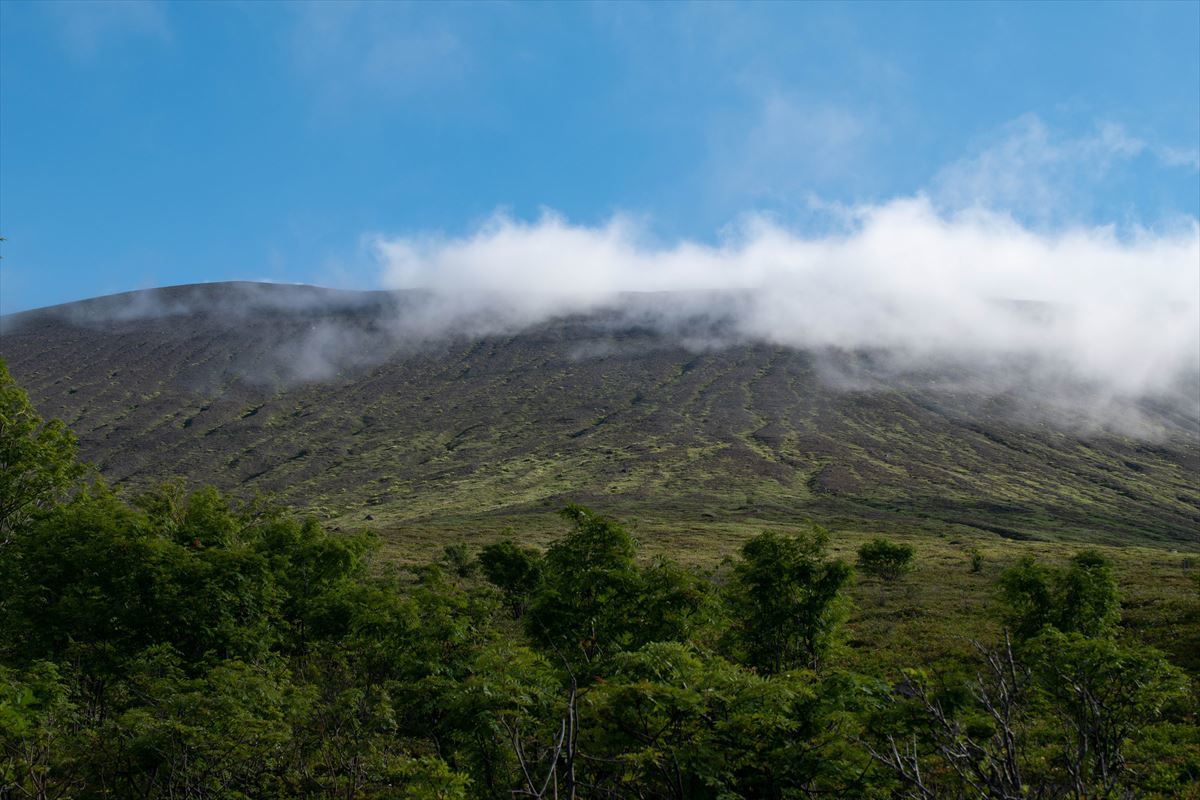 b0281366_18542195.jpg