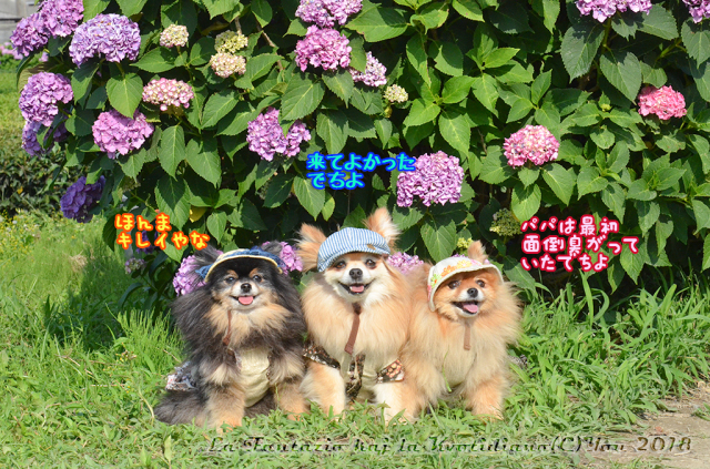 a0004070_23211040.jpg