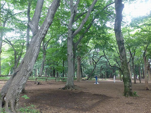 d0351575_17342079.jpg