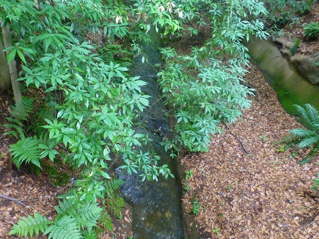 d0351575_17344953.jpg