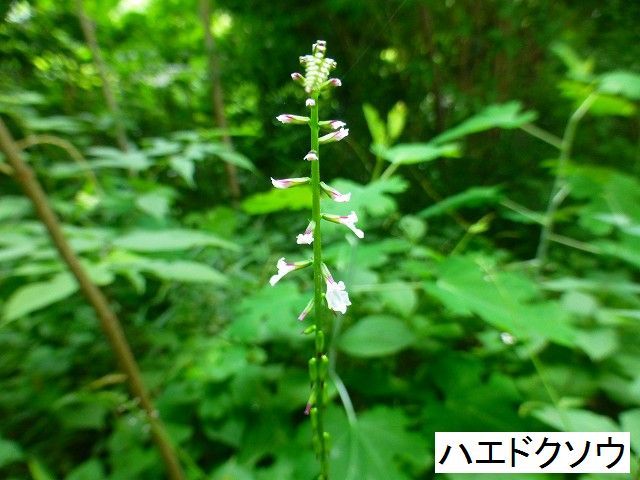 d0351575_18212110.jpg