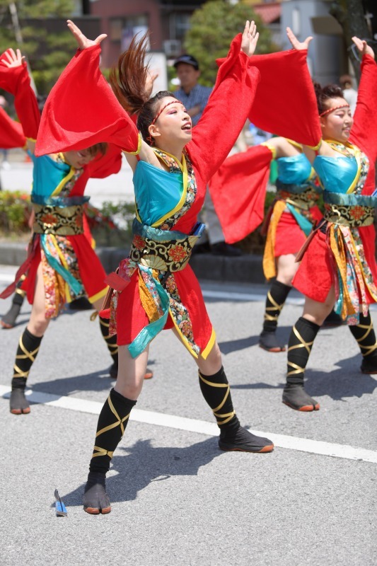 YOSAKOIソーラン日本海　彦根三十五万石大会　その6_c0196076_08344621.jpg