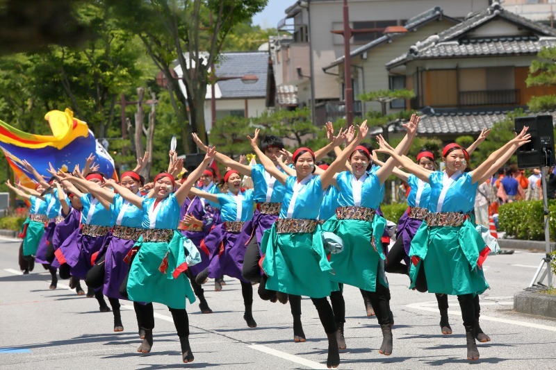 YOSAKOIソーラン日本海　彦根三十五万石大会　その7_c0196076_08354696.jpg