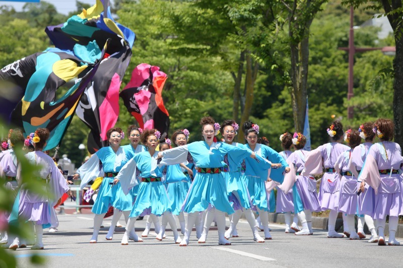 YOSAKOIソーラン日本海　彦根三十五万石大会　その7_c0196076_08354753.jpg