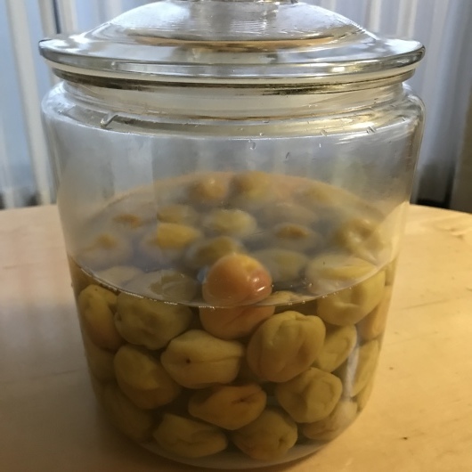 e0377378_06514921.jpeg