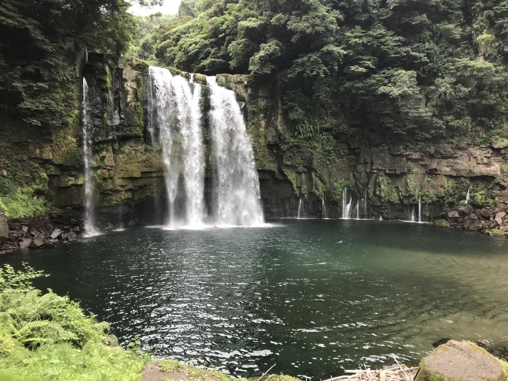 b0168680_06263947.jpeg