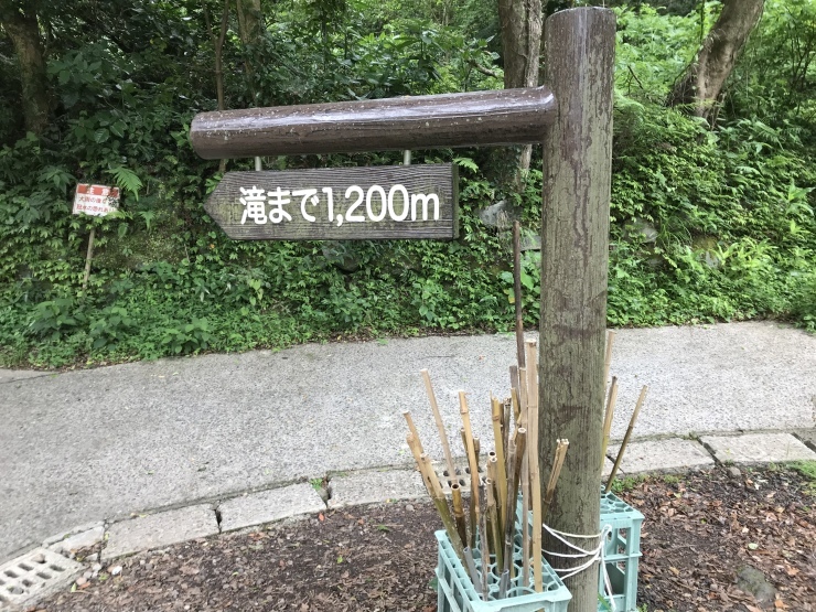 b0168680_06272583.jpeg