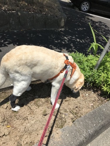 f0315081_22085325.jpeg