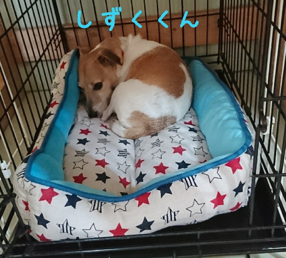 my bed∩――――∩_f0357682_20173278.jpg