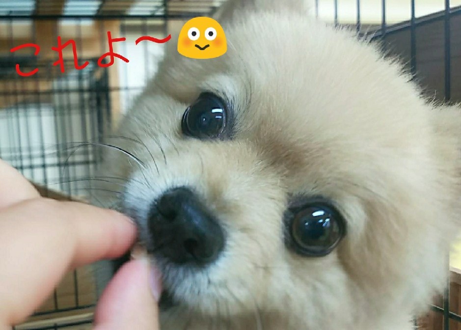 my bed∩――――∩_f0357682_20504017.jpg