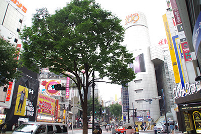 b0056983_17101027.jpg