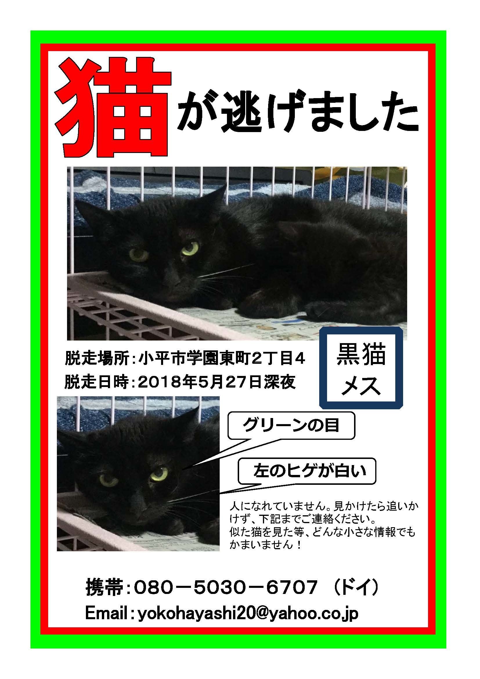 Top固定 母猫くろママが脱走しました ねこ結び2 Top固定 母猫くろママが脱走しました ねこ結び2
