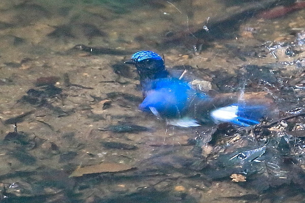 d0334291_15514842.jpg