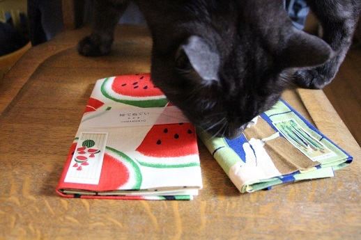 猫の仕事_a0333195_21303296.jpg