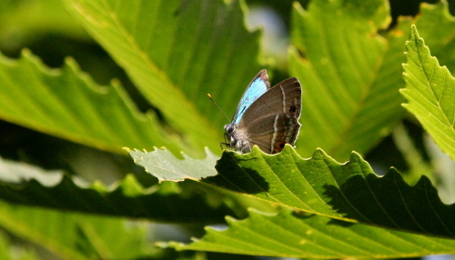 b0331096_07040452.jpg
