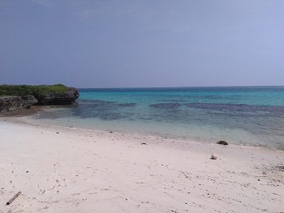 d0074596_2061213.jpg