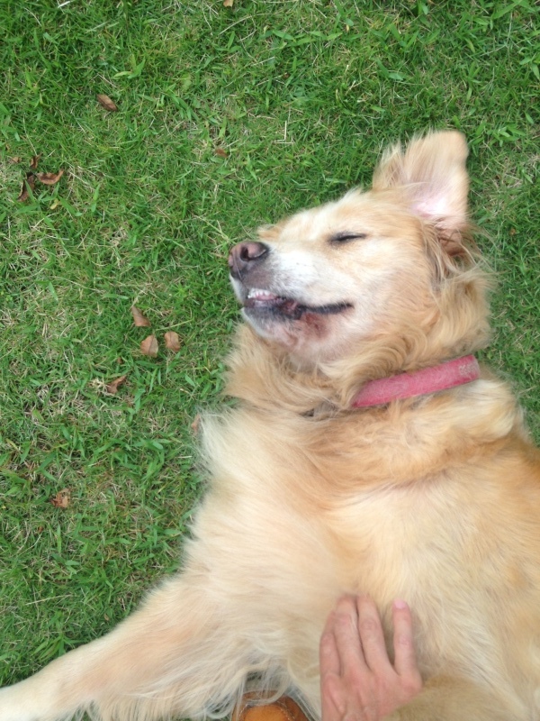 b0275998_13045250.jpeg