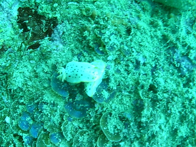 e0115199_14025276.jpg
