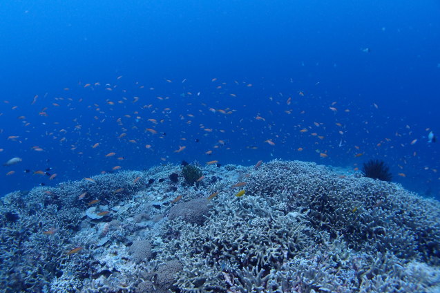 e0115199_16443730.jpg
