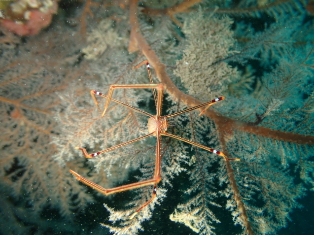 e0115199_18223533.jpg