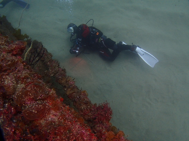e0115199_18564006.jpg